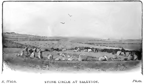 STONE CIRCLE AT BALLYNOE