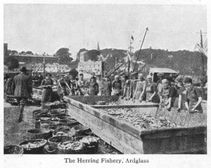 The Herring Fishery, Ardglass