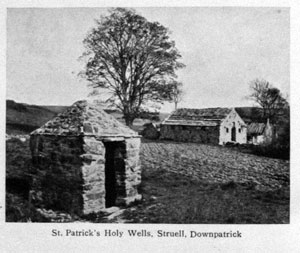 St. Patrick's Holy Wells, Struell, Downpatrick