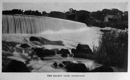 The Salmon Leap, Coleraine