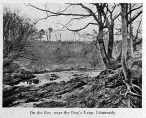 On the Roe, near the Dog's Leap, Limavady